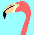 flamingo.jpeg